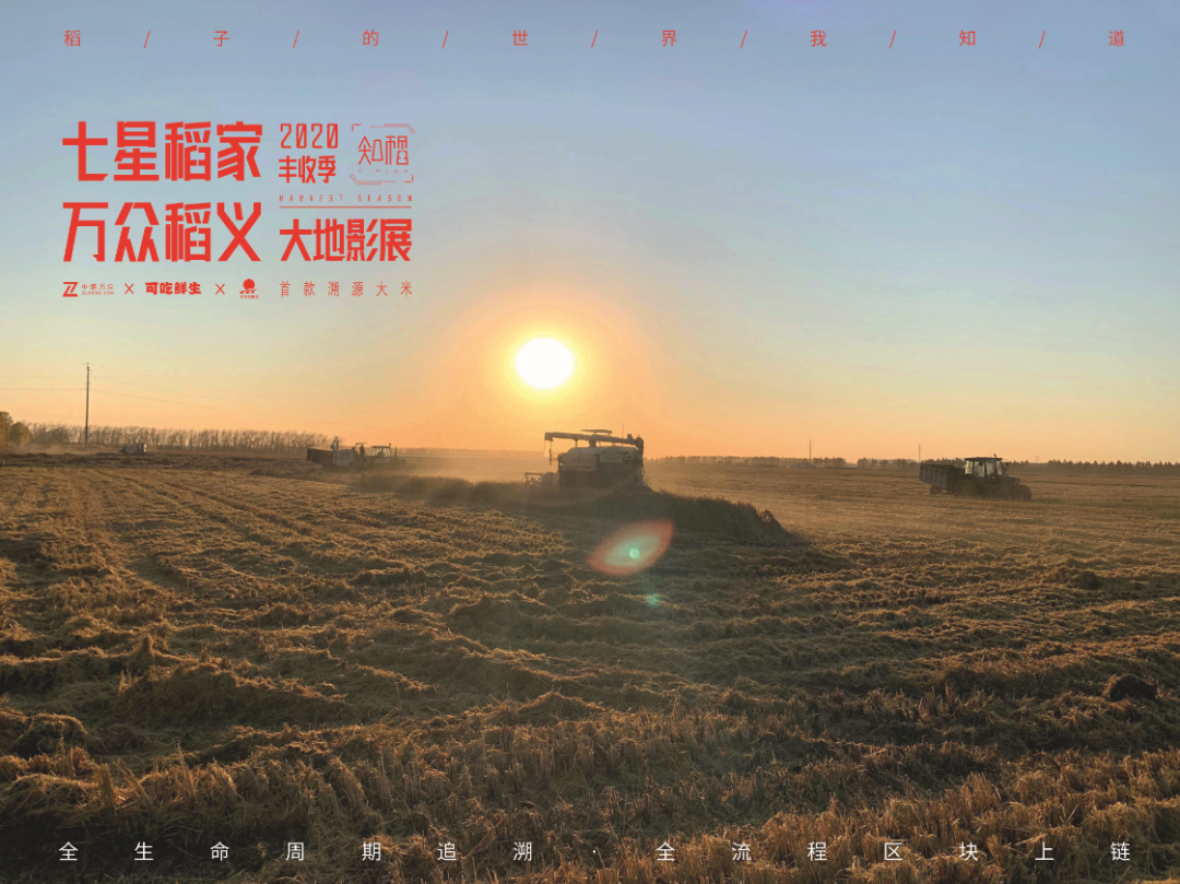 区块链公开透明_区块链科技推动的透明经济:虚拟货币如何实现可追溯性与信任_区块链透明化