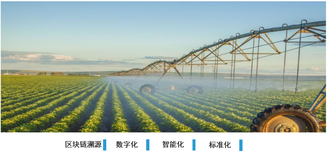 区块链透明化_区块链公开透明_区块链科技推动的透明经济:虚拟货币如何实现可追溯性与信任