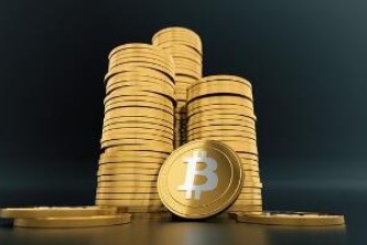 全球顶尖柚子币冷钱包哪些上榜?正规官方柚子币冷钱包用户量排名