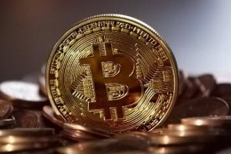 全球顶尖柚子币冷钱包哪些上榜?正规官方柚子币冷钱包用户量排名