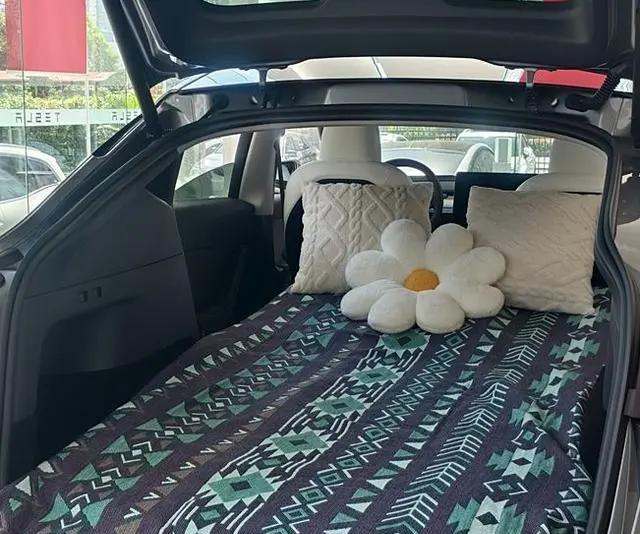特斯拉Model Y,从选车到用车8个月的真实分享!-有驾