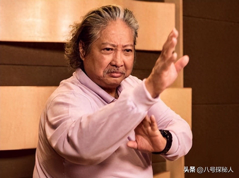 洪金宝反派角色_洪金宝电影特色_洪金宝的电影角色与社会反映