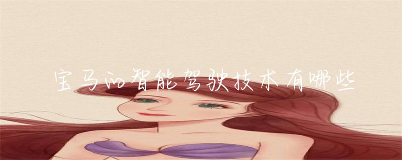 宝马高管谈科技融合:BMW如何在中国引领智能驾驶新潮流与战略布局