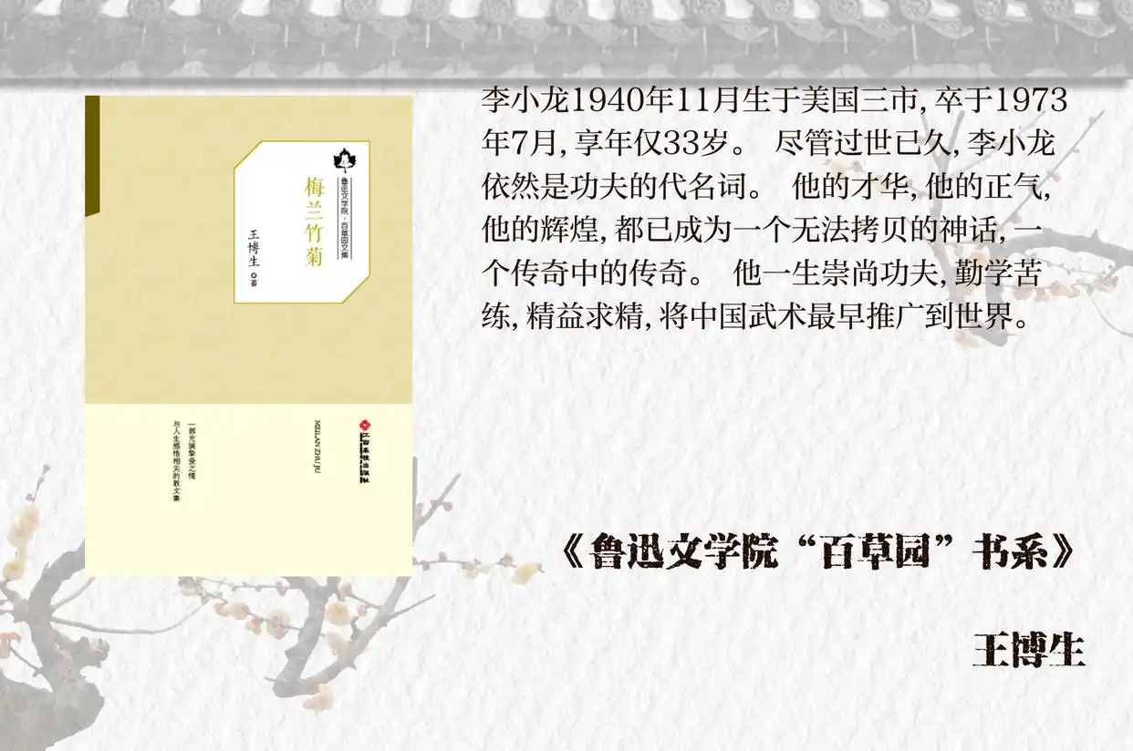 武术巨星李小龙_李小龙的遗产:后世武术家的影响_李小龙在武术界的影响及地位