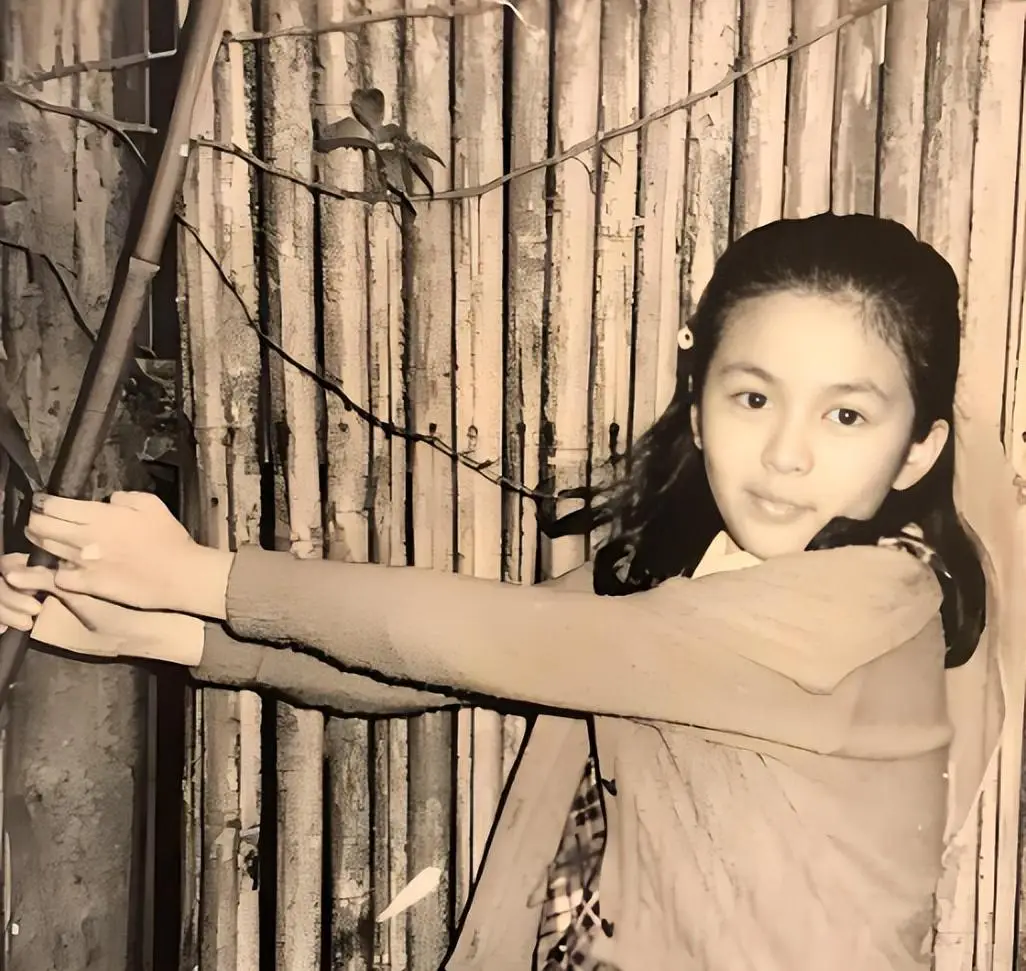塑造关之琳女性现代形象的方法_关之琳的现代女性形象塑造_塑造关之琳女性现代形象