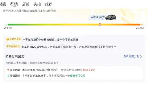特斯拉Model Y:智能出行的新标杆_特斯拉智能车_特斯拉智能叫什么