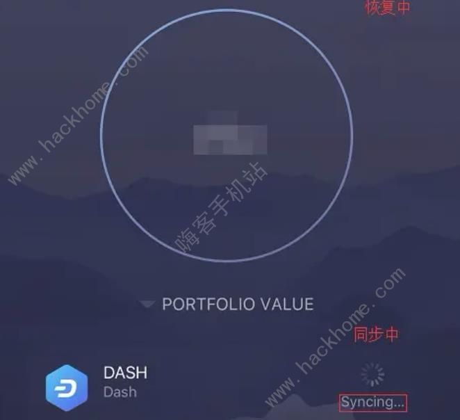 Exodus钱包使用教程 Exodus钱包安卓IOS注册流程一览图片13