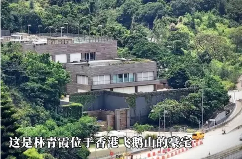 塑造明星关之琳价值品牌是什么_关之琳自创品牌_关之琳的明星塑造与品牌价值