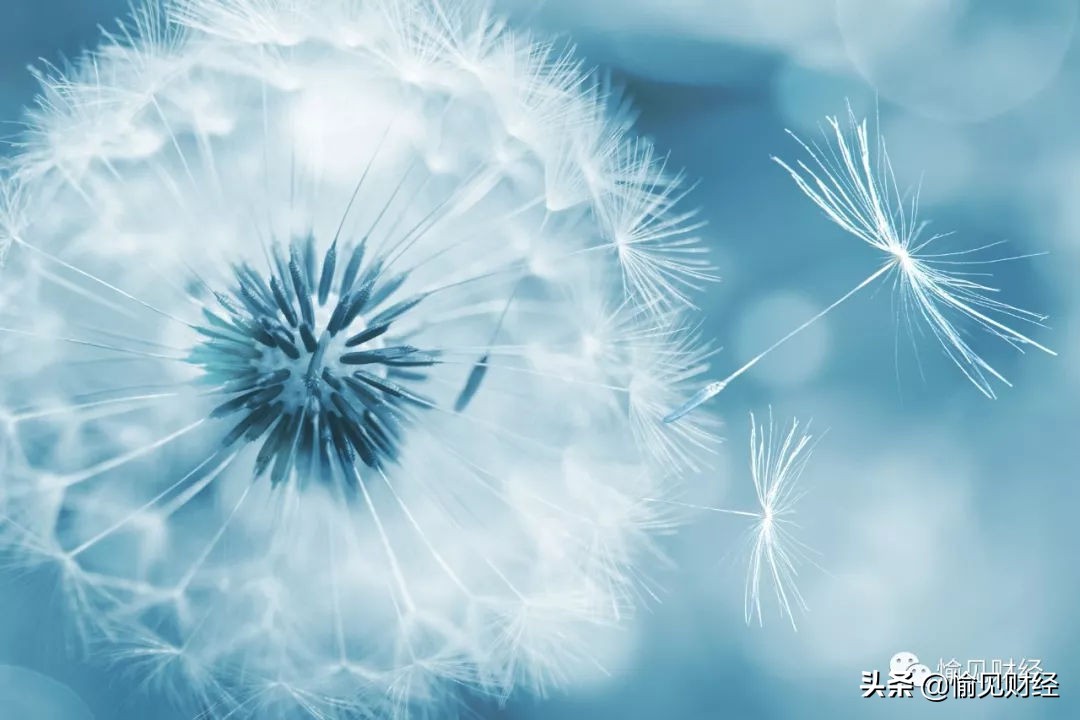 问:我现在应该买比特币吗?决定比特币是否是一项好的投资_比特币买问决定投资是否正确_比特币买问决定投资是否可靠