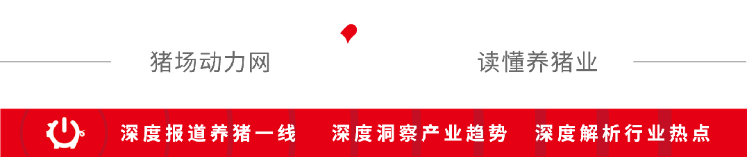 全国两会聚焦生猪产业:智能化养猪与绿色低碳发展成热点
