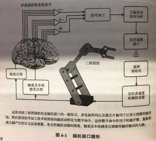 马斯克宣布:2025年Neuralink将为特定患者植入脑机设备,展示科技医疗结合的新前景_马斯克宣布:2025年Neuralink将为特定患者植入脑机设备,展示科技医疗结合的新前景_技术植入与技术创新的区别