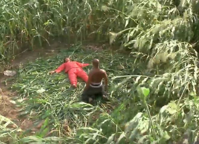 张艺谋捧红巩俐_巩俐与张艺谋：合作与艺术的火花_张艺谋和巩俐合作归来