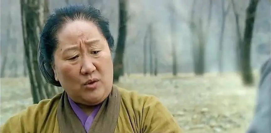 韩信的历史地位与评价_韩信的历史评价_韩信的地位