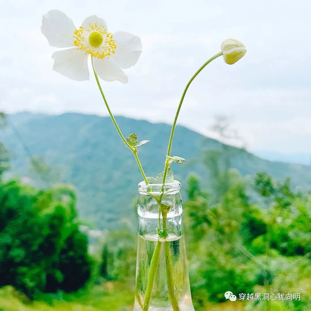 张良个人资料简介及其_张良的人格魅力与个人魅力_思想的魅力源于个人天赋